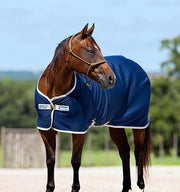Amigo Jersey Cooler - 2 Colours - Vision Saddlery