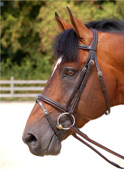 Dy'on Working Collection Flash Noseband Bridle - Vision Saddlery