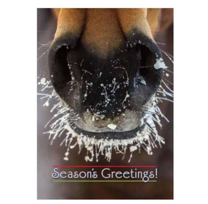 Christmas Card - Frosty Nose - Vision Saddlery
