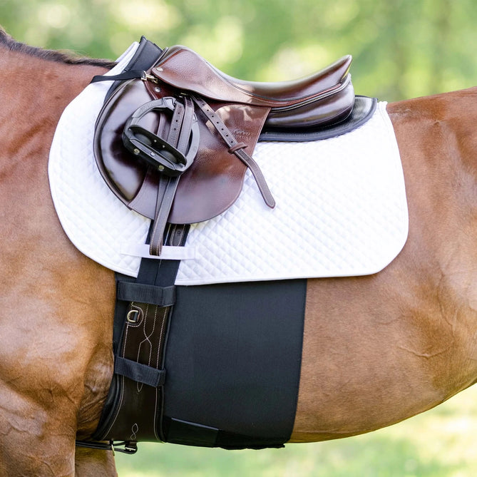 Unveiling Excellence in Equine Saddlery at Vision Saddlery Online Store
