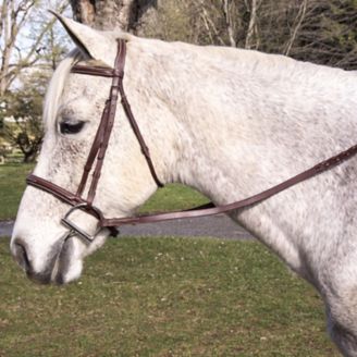 Pro-Trainer Fancy Stitched Raised Bridle - Vision Saddlery