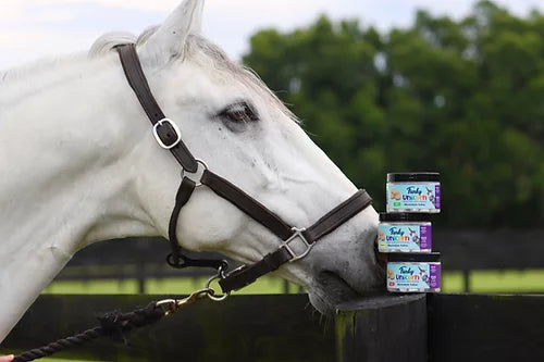 Funky Unicorn Electrolyte Cubes - 3 Flavours - Vision Saddlery