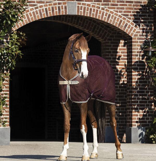 Amigo Net Cooler - Vision Saddlery