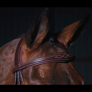 Dy'on D Collection Anatomic Flash Noseband Bridle - Vision Saddlery