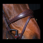 Dy'on D Collection Anatomic Flash Noseband Bridle - Vision Saddlery