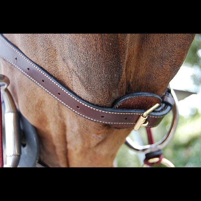 Dy'on D Collection Anatomic Flash Noseband Bridle - Vision Saddlery