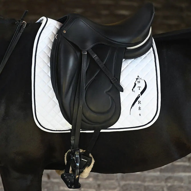 Unveiling the Art of Saddlery Craftsmanship and Selecting the Ideal Equipment for Your Equine Partner