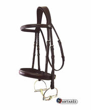 Antares Fancy Hunter Bridle with Wide Noseband - Vision Saddlery