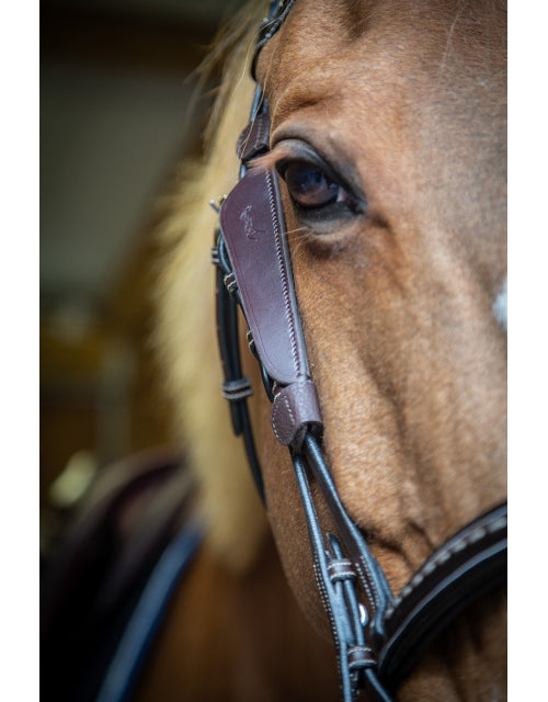 Penelope Blinkers - Vision Saddlery