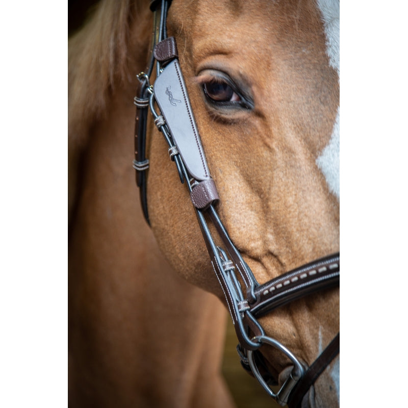 Penelope Blinkers - Vision Saddlery