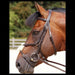Dy'on Classic Figure 8 Bridle- Working Collection - Vision Saddlery