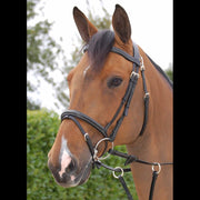 Dy'on Working Collection Fancy Flash Bridle - Vision Saddlery