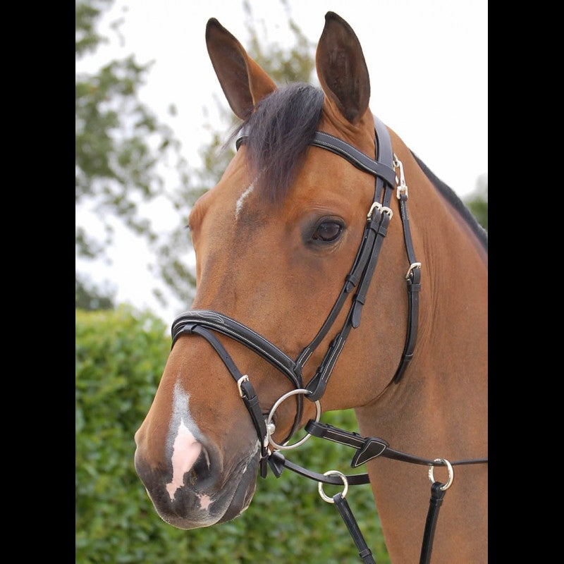 Dy'on Working Collection Fancy Flash Bridle - Vision Saddlery