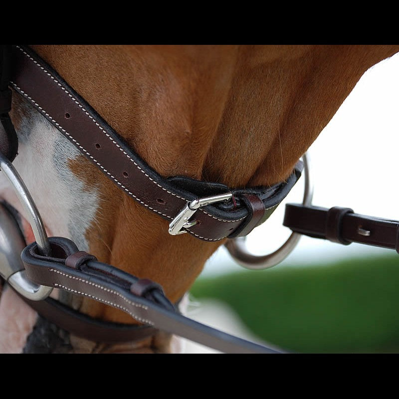 Dy'on Working Collection Fancy Flash Bridle - Vision Saddlery