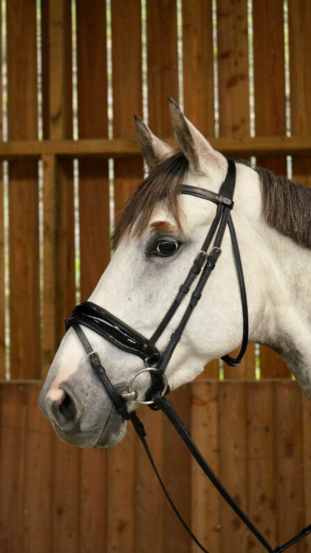 Dy'on Working Collection Large Crank Flash Noseband Bridle - 2 Colours - Vision Saddlery
