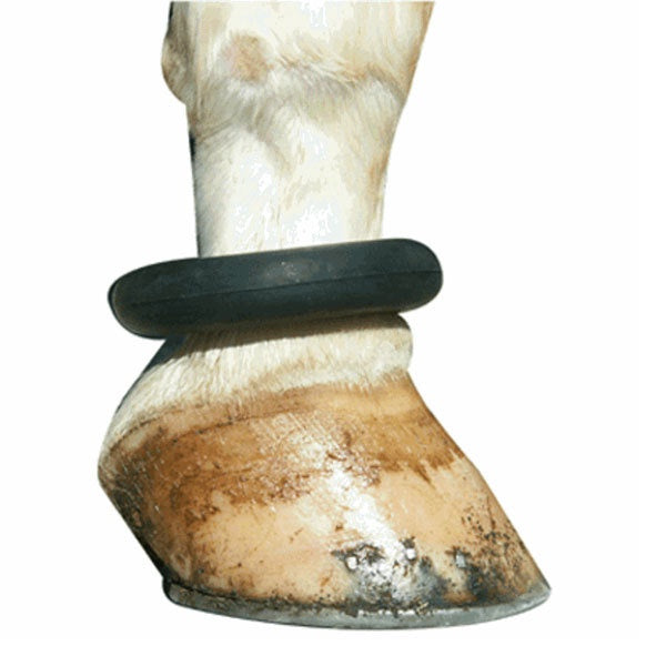 Fetlock Ring - Vision Saddlery