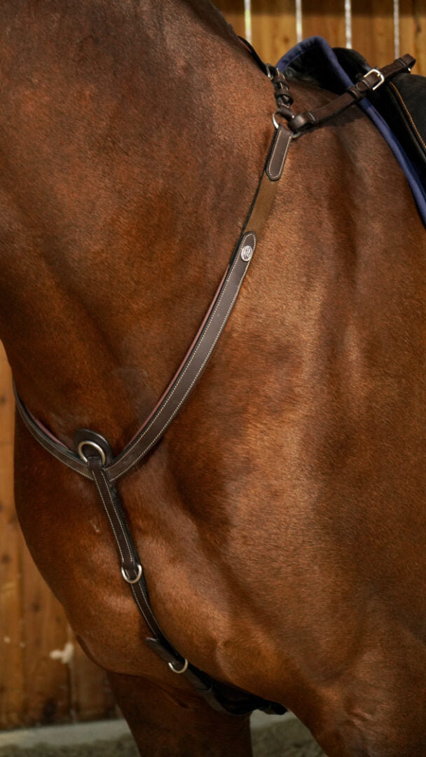 Dy'on Working Collection Bridge Breastplate — Vision Saddlery