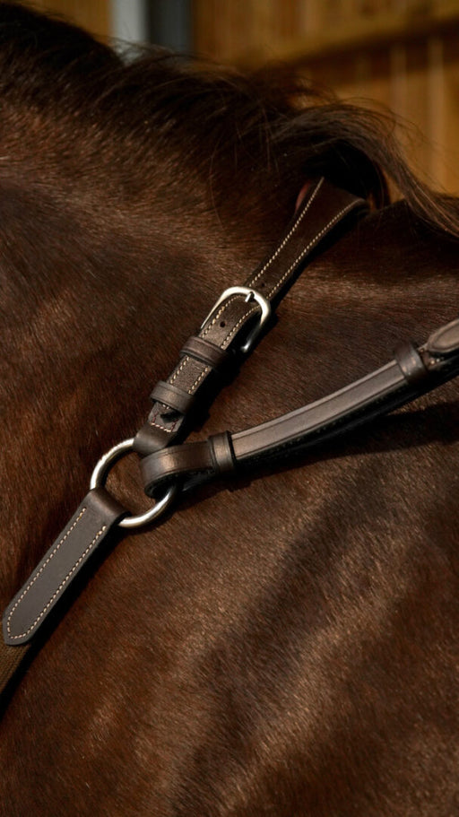 Dy'on Working Collection Bridge Breastplate - Vision Saddlery