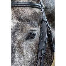 Dy'on Focus Cheek Pieces Blinkers - 2 Colours - Vision Saddlery