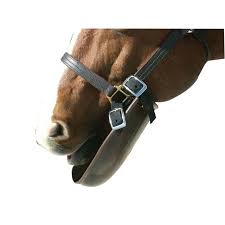 Blanket Bib - Vision Saddlery