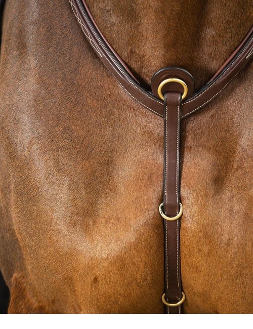 Dy'on D Collection Bridge Breastplate - Vision Saddlery