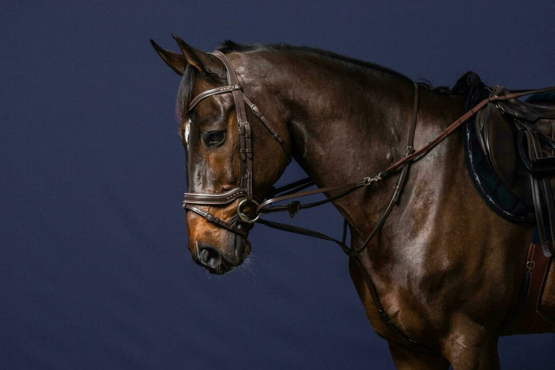 Dy'on Working Collection Howlett Training Systemn - Vision Saddlery