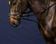 Dy'on Working Collection Howlett Training Systemn - Vision Saddlery