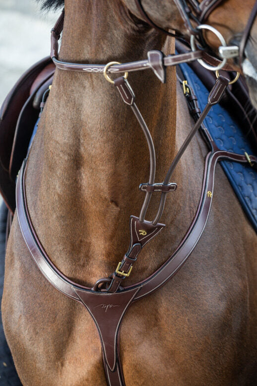 Dy'on D Collection Elastic Running Martingale Attachment - Vision Saddlery