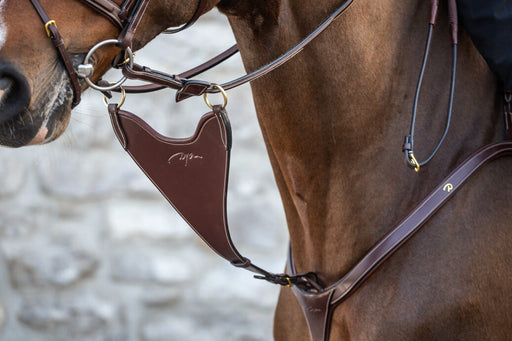 Dy'on D Collection Hard Bib Martingale Attachment - Vision Saddlery