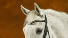 Dy'on New English Collection Silver Clincher Leather V-Shaped Browband - Vision Saddlery