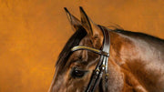 Dy'on D Collection Brass Clincher Leather V-Shaped Browband - Vision Saddlery