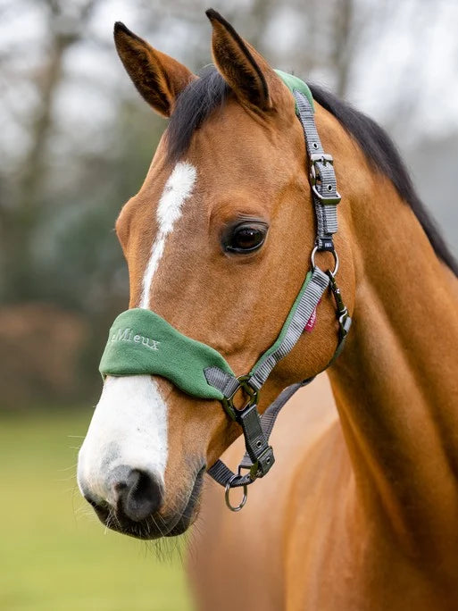 LeMieux Vogue Headcollar and Leadrope - HUNTER GREEN - Vision Saddlery