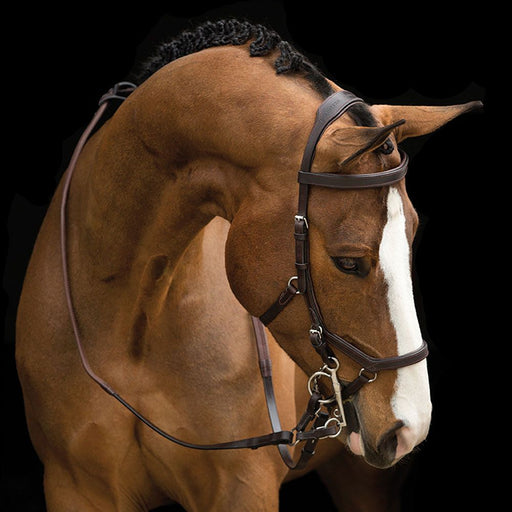 Rambo Micklem Competition Bridle w/ Reins - Vision Saddlery