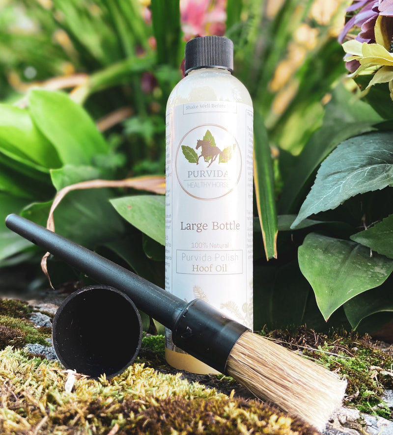 Purvida Polish Hoof Oil with Brush Applicator - Vision Saddlery