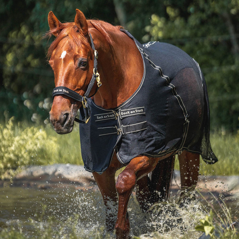 Back on Track Sienna Mesh Scrim, Black - Vision Saddlery
