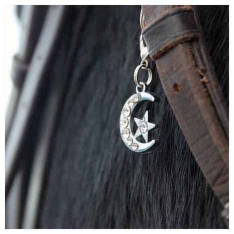 MBC Bridle Charm - Moon and Star - Vision Saddlery