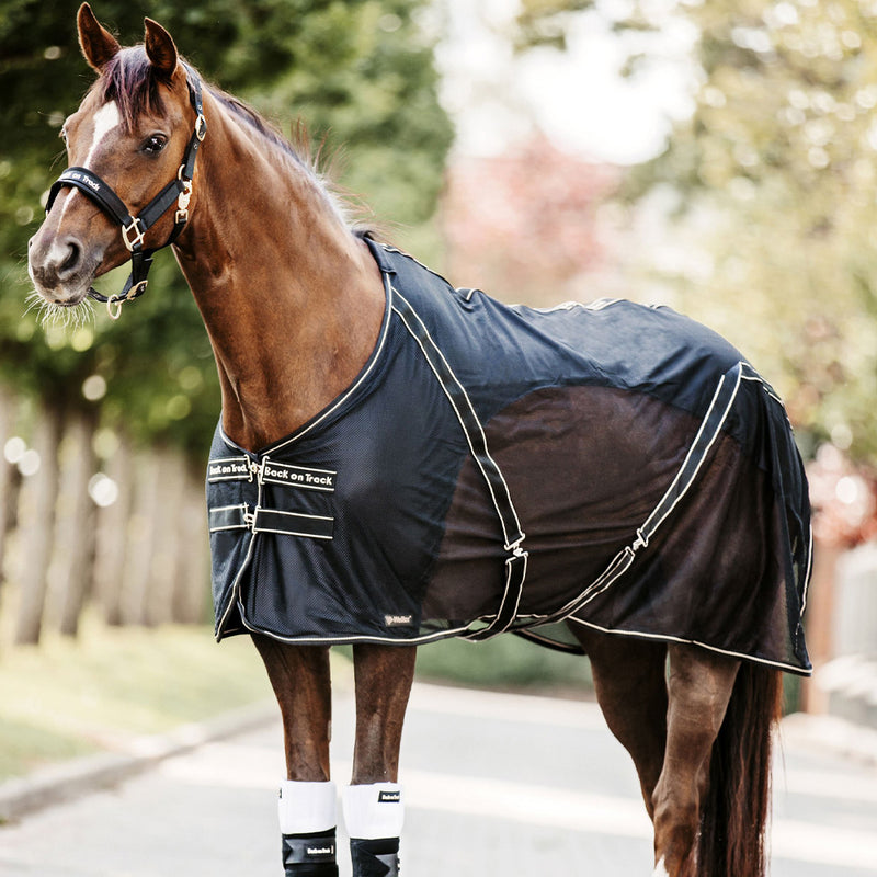 Back on Track Sienna Mesh Scrim, Black - Vision Saddlery