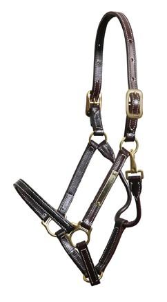 Walsh Showman Halter - Vision Saddlery