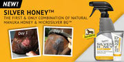 Absorbine Silver Honey Ointment - Vision Saddlery