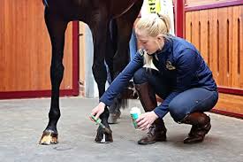 Absorbine Hooflex Natural Dressing & Conditioner - 450ml - Vision Saddlery