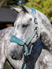 LeMieux Vogue Headcollar and Leadrope - SAGE - Vision Saddlery