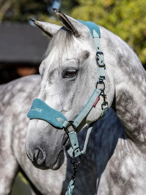 LeMieux Vogue Headcollar and Leadrope - SAGE - Vision Saddlery