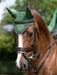 LeMieux Classic Fly Hood - HUNTER GREEN - Vision Saddlery