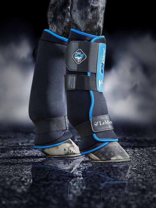 LeMieux ProIce Freeze Boots - Vision Saddlery