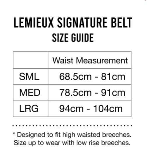 LeMieux Signature Leather Belt - BLACK - Vision Saddlery