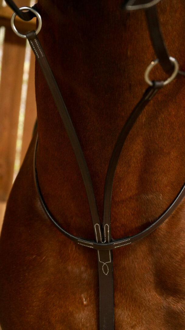 Dy'on Working Collection Running Martingale - Vision Saddlery