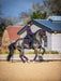 LeMieux Loire Dressage Saddle Pad - FIG - Vision Saddlery