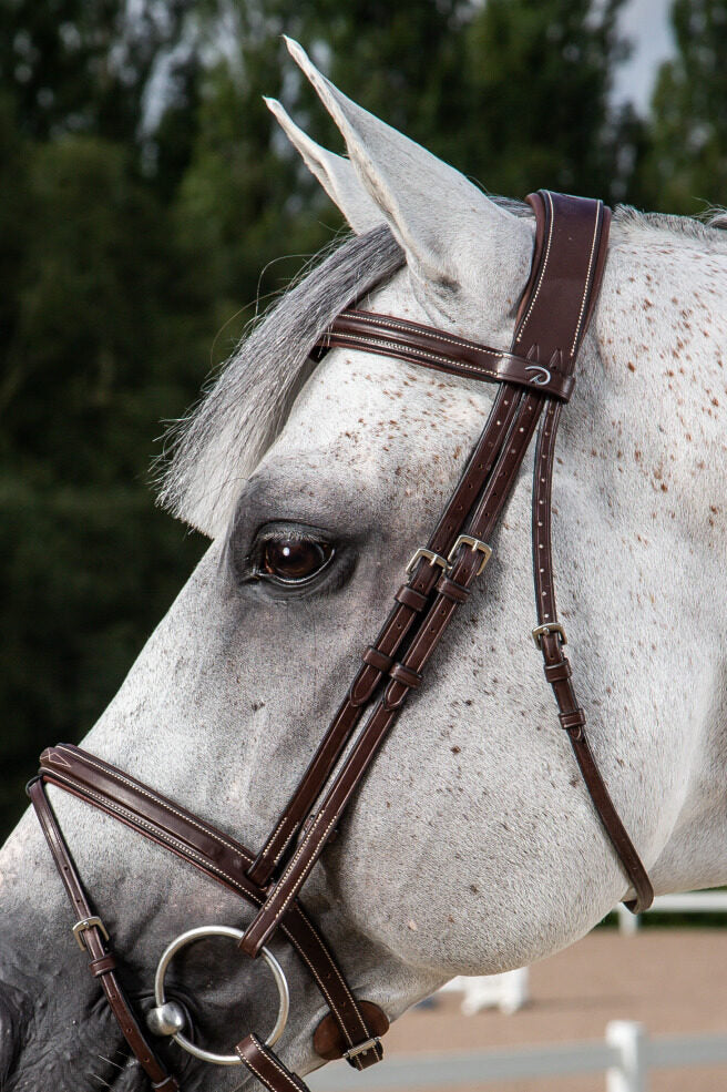 Dy'on Hunter Collection Cheekpieces - Vision Saddlery