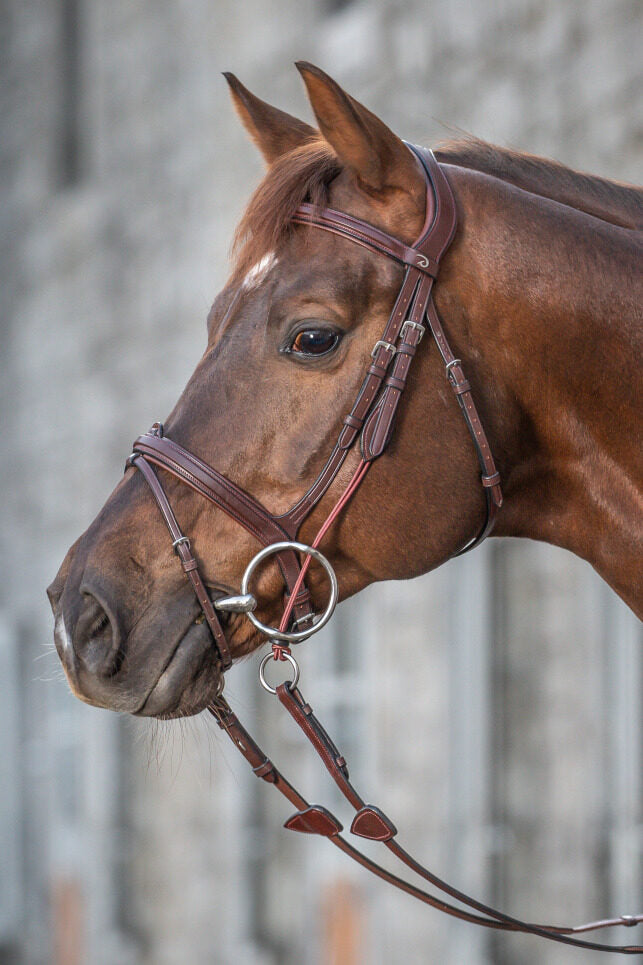 Dy'on New English Collection Gag Cheek Pieces - Vision Saddlery