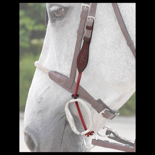 Dy'on Gag Cheek Pieces New English Collection - Vision Saddlery